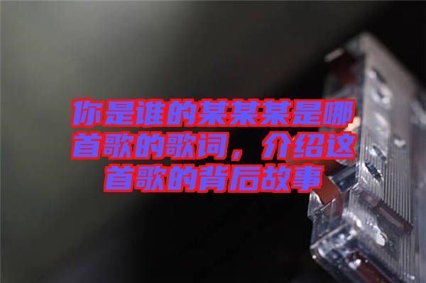 你是誰的某某某是哪首歌的歌詞，介紹這首歌的背后故事