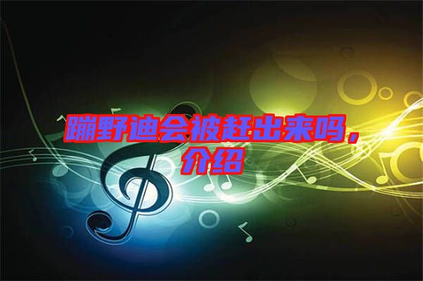 蹦野迪會被趕出來嗎，介紹