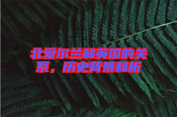 北愛(ài)爾蘭和英國(guó)的關(guān)系，歷史背景和析