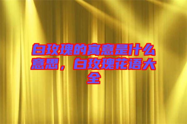 白玫瑰的寓意是什么意思，白玫瑰花語大全