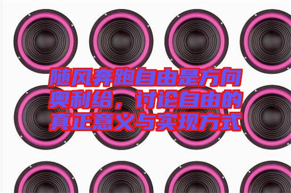 隨風(fēng)奔跑自由是方向奧利給，討論自由的真正意義與實(shí)現(xiàn)方式