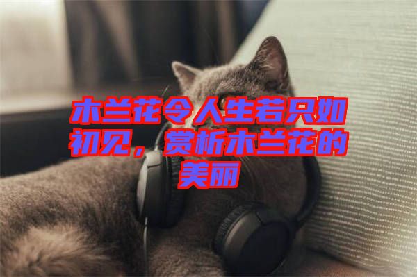 木蘭花令人生若只如初見，賞析木蘭花的美麗