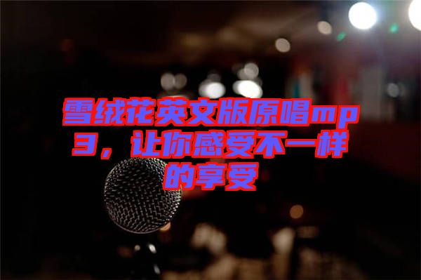 雪絨花英文版原唱mp3，讓你感受不一樣的享受