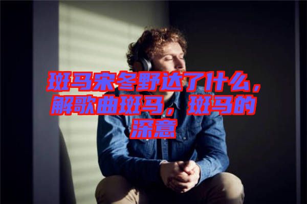 斑馬宋冬野達了什么，解歌曲斑馬，斑馬的深意
