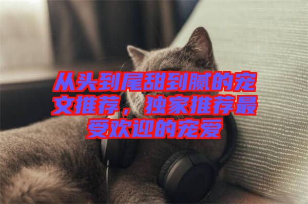 從頭到尾甜到膩的寵文推薦，獨(dú)家推薦最受歡迎的寵愛(ài)