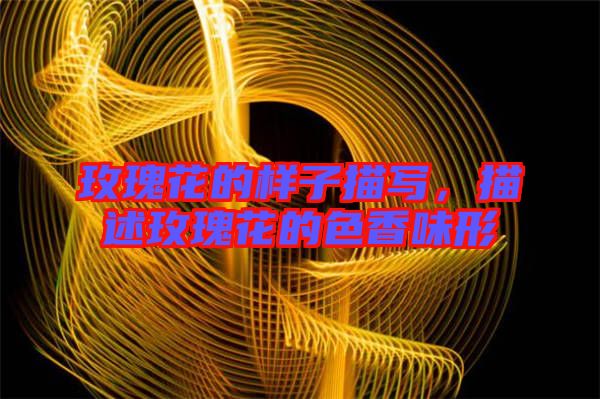 玫瑰花的樣子描寫，描述玫瑰花的色香味形