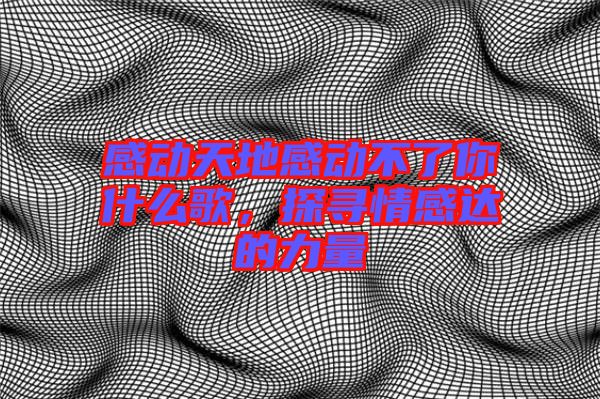 感動天地感動不了你什么歌，探尋情感達(dá)的力量