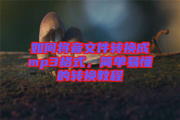 如何將音文件轉(zhuǎn)換成mp3格式，簡單易懂的轉(zhuǎn)換教程
