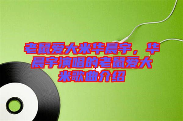 老鼠愛(ài)大米華晨宇，華晨宇演唱的老鼠愛(ài)大米歌曲介紹