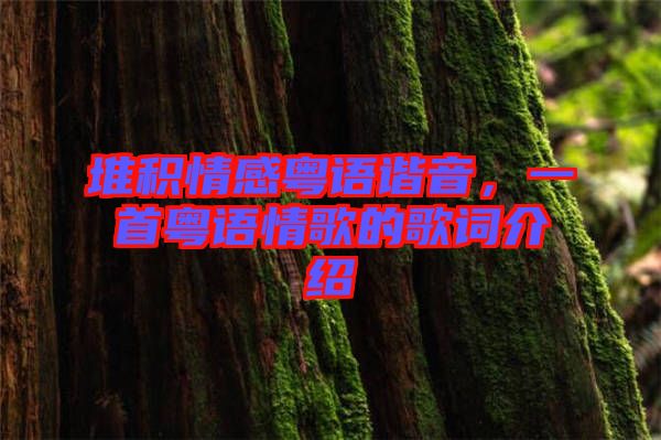 堆積情感粵語諧音，一首粵語情歌的歌詞介紹