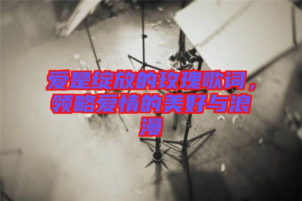 愛(ài)是綻放的玫瑰歌詞，領(lǐng)略愛(ài)情的美好與浪漫