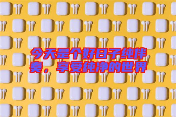 今天是個好日子純伴奏，享受純凈的世界