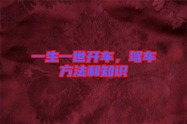 一生一世開車，駕車方法和知識