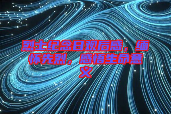 烈士紀(jì)念日觀后感，緬懷先烈，感悟生命意義