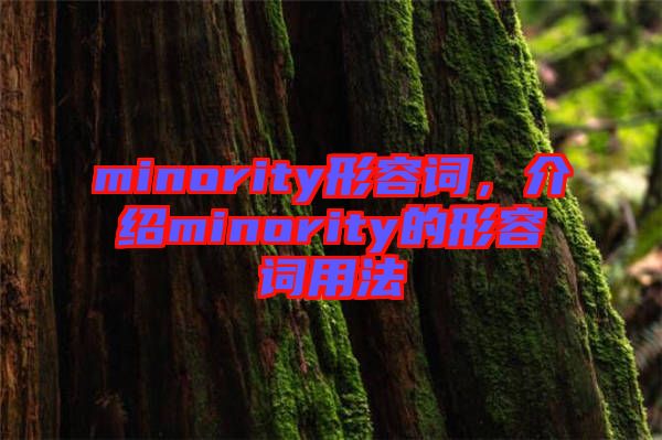 minority形容詞，介紹minority的形容詞用法
