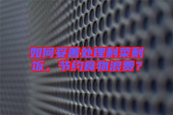 如何妥善處理剩菜剩飯，節(jié)約食物浪費？