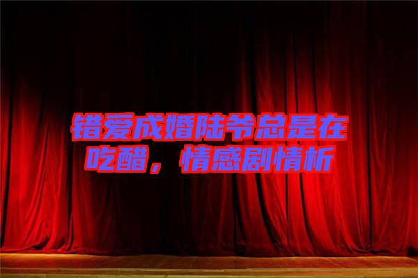 錯(cuò)愛成婚陸爺總是在吃醋，情感劇情析