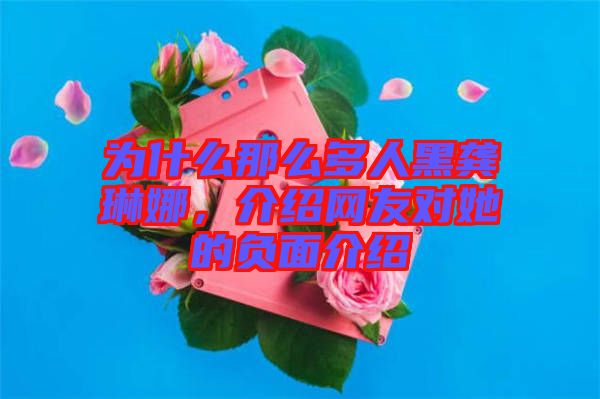 為什么那么多人黑龔琳娜，介紹網(wǎng)友對她的負面介紹