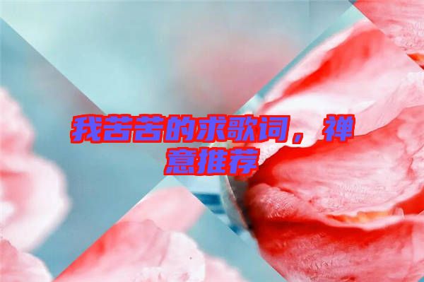我苦苦的求歌詞，禪意推薦