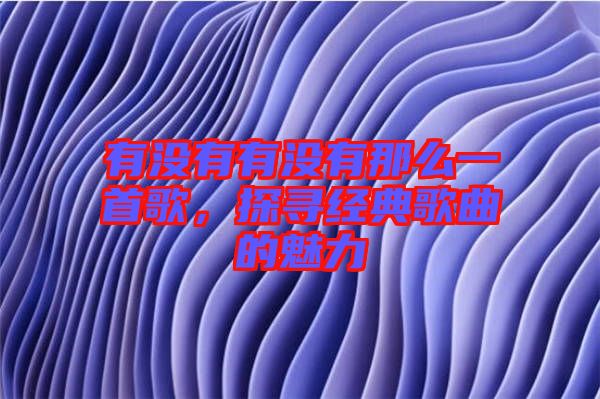 有沒有有沒有那么一首歌，探尋經(jīng)典歌曲的魅力