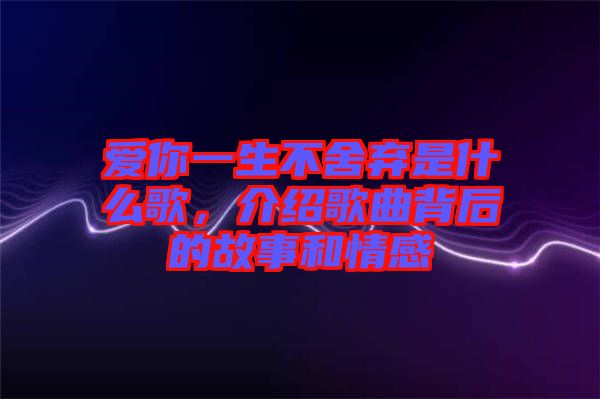 愛你一生不舍棄是什么歌，介紹歌曲背后的故事和情感