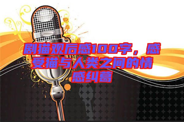 劇貓觀后感100字，感受貓與人類之間的情感糾葛