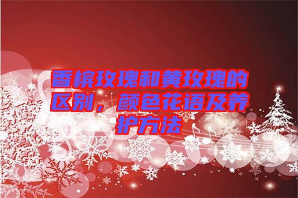 香檳玫瑰和黃玫瑰的區(qū)別，顏色花語及養(yǎng)護方法