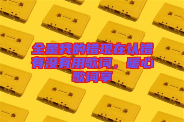 全是我的錯(cuò)現(xiàn)在認(rèn)錯(cuò)有沒有用歌詞，暖心歌詞享