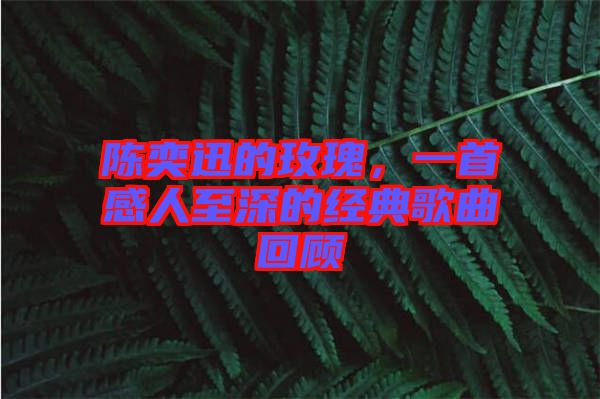 陳奕迅的玫瑰，一首感人至深的經(jīng)典歌曲回顧
