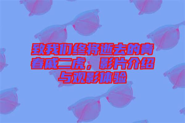 致我們終將逝去的青春戚二虎，影片介紹與觀影體驗