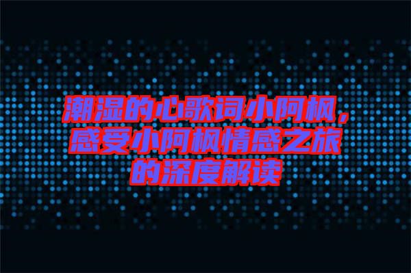 潮濕的心歌詞小阿楓，感受小阿楓情感之旅的深度解讀