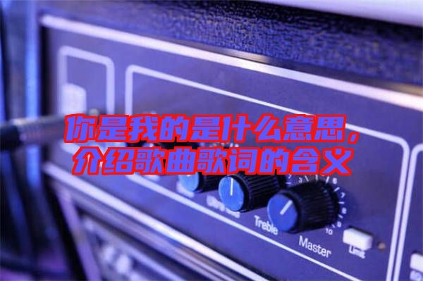 你是我的是什么意思，介紹歌曲歌詞的含義