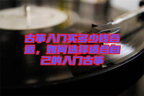 古箏入門買多少錢合適，如何選擇適合自己的入門古箏