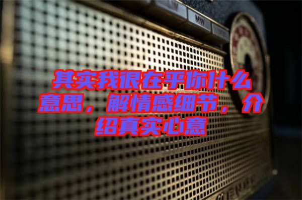 其實我很在乎你什么意思，解情感細節(jié)，介紹真實心意