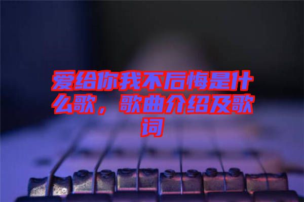 愛給你我不后悔是什么歌，歌曲介紹及歌詞