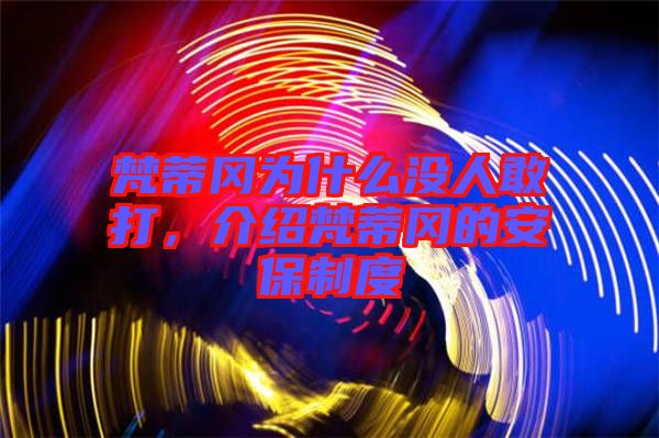 梵蒂岡為什么沒人敢打，介紹梵蒂岡的安保制度