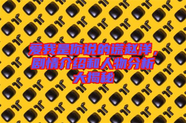 愛我是你說的謊趙洋，劇情介紹和人物分析大揭秘