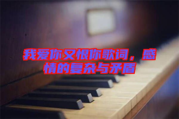 我愛你又恨你歌詞，感情的復(fù)雜與矛盾