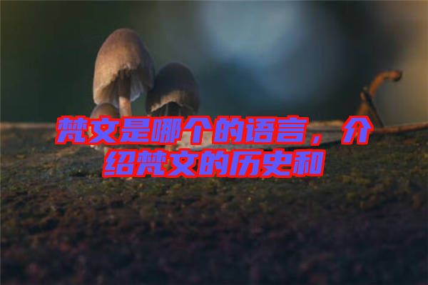 梵文是哪個的語言，介紹梵文的歷史和