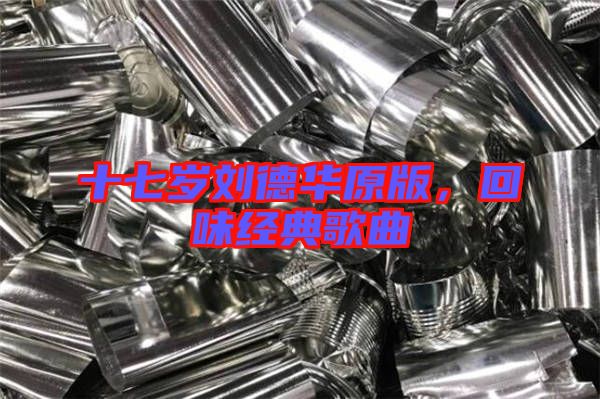 十七歲劉德華原版，回味經典歌曲