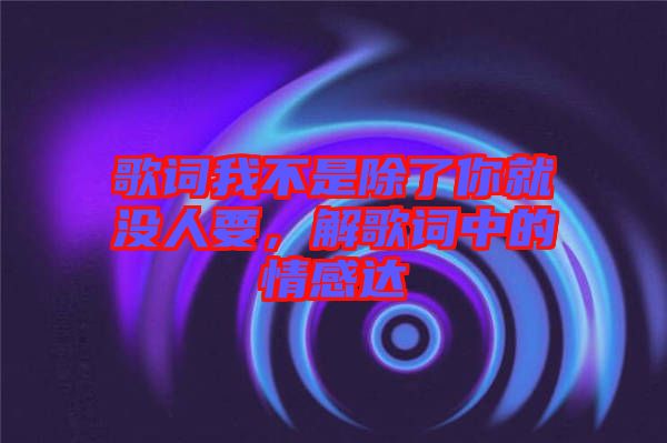歌詞我不是除了你就沒人要，解歌詞中的情感達