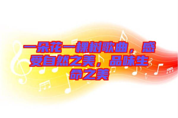 一朵花一棵樹歌曲，感受自然之美，品味生命之美