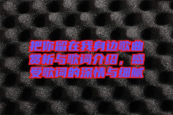 把你留在我身邊歌曲賞析與歌詞介紹，感受歌詞的深情與細(xì)膩