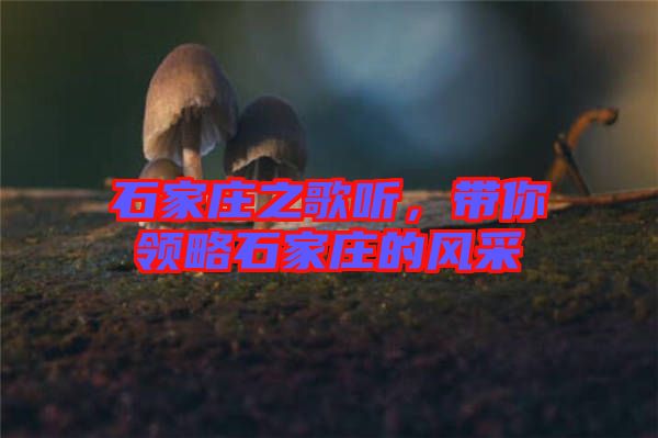 石家莊之歌聽，帶你領(lǐng)略石家莊的風(fēng)采