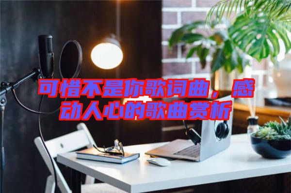 可惜不是你歌詞曲，感動(dòng)人心的歌曲賞析