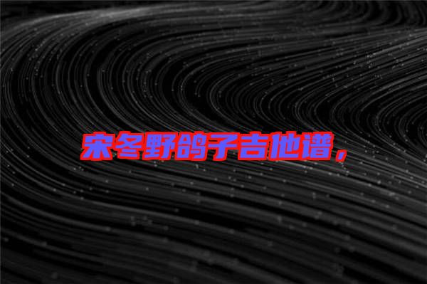 宋冬野鴿子吉他譜，