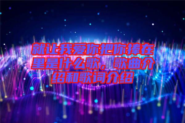 就讓我愛你把你捧在里是什么歌，歌曲介紹和歌詞介紹