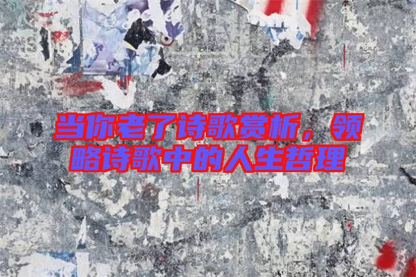 當(dāng)你老了詩(shī)歌賞析，領(lǐng)略詩(shī)歌中的人生哲理