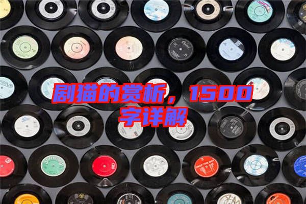 劇貓的賞析，1500字詳解