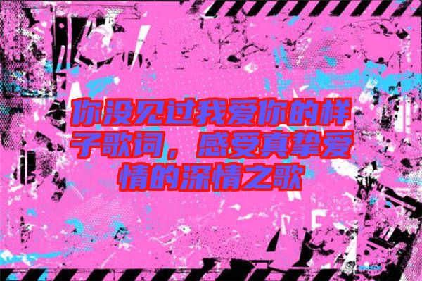 你沒見過我愛你的樣子歌詞，感受真摯愛情的深情之歌